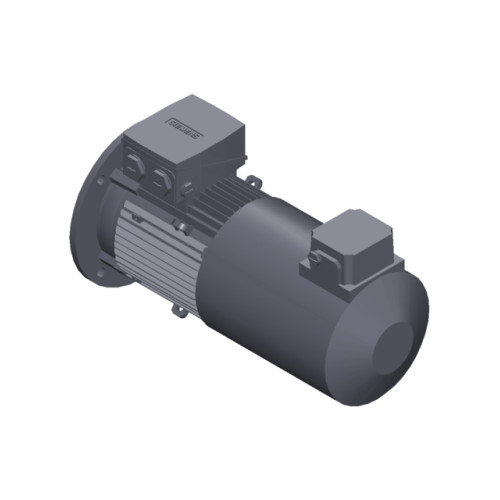 SIMOTICS GP Motor type: 1AV2105B Low-voltage motor, IEC Squirrel-cage rotor, self-ventilated, IP55 T