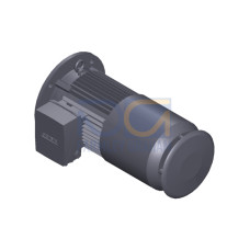 SIMOTICS GP Motor type: 1AV2105B Low-voltage motor, IEC Squirrel-cage rotor, self-ventilated, IP55 T