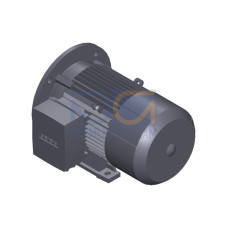 SIMOTICS GP Motor type: 1AV2105B Low-voltage motor, IEC Squirrel-cage rotor, self-ventilated, IP55 T