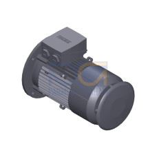 SIMOTICS GP Motor type: 1AV2105D Low-voltage motor, IEC Squirrel-cage rotor, self-ventilated, IP55 T