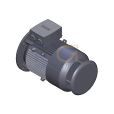 SIMOTICS GP Motor type: 1AV2112A Low-voltage motor, IEC Squirrel-cage rotor, self-ventilated, IP55 T