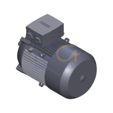 SIMOTICS GP Motor type: 1AV2112A Low-voltage motor, IEC Squirrel-cage rotor, self-ventilated, IP55 T