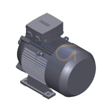 SIMOTICS GP Motor type: 1AV2112A Low-voltage motor, IEC Squirrel-cage rotor, self-ventilated, IP55 T