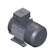 SIMOTICS GP Motor type: 1AV2116A Low-voltage motor, IEC Squirrel-cage rotor, self-ventilated, IP55 T