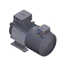 SIMOTICS GP Motor type: 1AV2116A Low-voltage motor, IEC Squirrel-cage rotor, self-ventilated, IP55 T