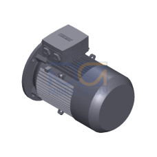 SIMOTICS GP Motor type: 1AV2116A Low-voltage motor, IEC Squirrel-cage rotor, self-ventilated, IP55 T