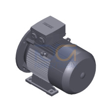 SIMOTICS GP Motor type: 1AV2112B Low-voltage motor, IEC Squirrel-cage rotor, self-ventilated, IP55 T