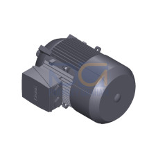 SIMOTICS GP Motor type: 1AV2112B Low-voltage motor, IEC Squirrel-cage rotor, self-ventilated, IP55 T