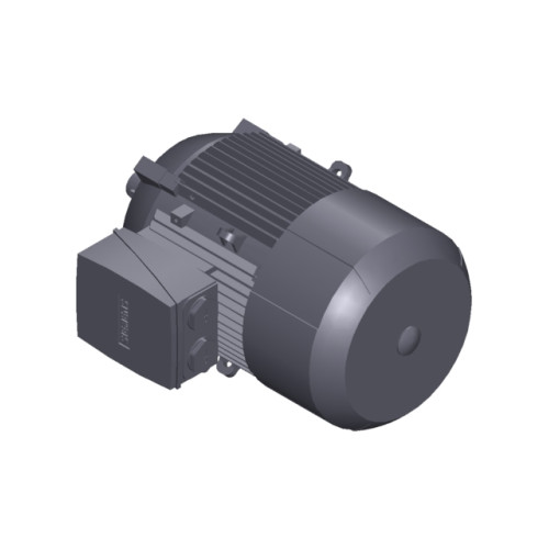 SIMOTICS GP Motor type: 1AV2112B Low-voltage motor, IEC Squirrel-cage rotor, self-ventilated, IP55 T