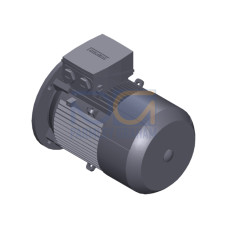 SIMOTICS GP Motor type: 1AV2112B Low-voltage motor, IEC Squirrel-cage rotor, self-ventilated, IP55 T