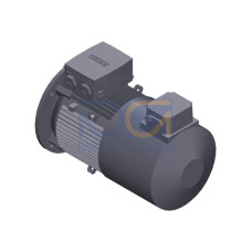 SIMOTICS GP Motor type: 1AV2112B Low-voltage motor, IEC Squirrel-cage rotor, self-ventilated, IP55 T