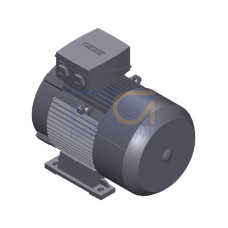 SIMOTICS GP Motor type: 1AV2112B Low-voltage motor, IEC Squirrel-cage rotor, self-ventilated, IP55 T