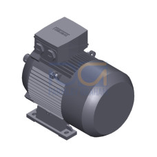 SIMOTICS GP Motor type: 1AV2112B Low-voltage motor, IEC Squirrel-cage rotor, self-ventilated, IP55 T