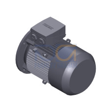SIMOTICS GP Motor type: 1AV2112B Low-voltage motor, IEC Squirrel-cage rotor, self-ventilated, IP55 T