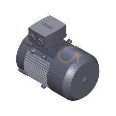 SIMOTICS GP Motor type: 1AV2112B Low-voltage motor, IEC Squirrel-cage rotor, self-ventilated, IP55 T