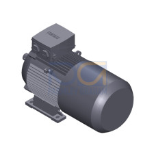 SIMOTICS GP Motor type: 1AV2116B Low-voltage motor, IEC Squirrel-cage rotor, self-ventilated, IP55 T