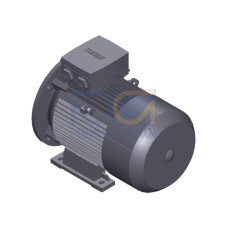 SIMOTICS GP Motor type: 1AV2116B Low-voltage motor, IEC Squirrel-cage rotor, self-ventilated, IP55 T