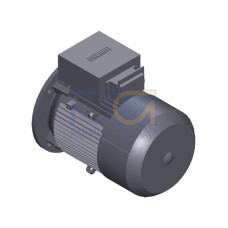 SIMOTICS GP Motor type: 1AV2112C Low-voltage motor, IEC Squirrel-cage rotor, self-ventilated, IP55 T