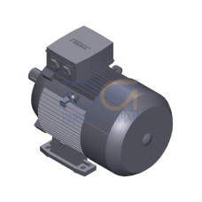 SIMOTICS GP Motor type: 1AV2130B Low-voltage motor, IEC Squirrel-cage rotor, self-ventilated, IP55 T