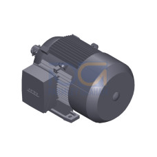 SIMOTICS GP Motor type: 1AV2130B Low-voltage motor, IEC Squirrel-cage rotor, self-ventilated, IP55 T