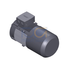 SIMOTICS GP Motor type: 1AV2132B Low-voltage motor, IEC Squirrel-cage rotor, self-ventilated, IP55 T
