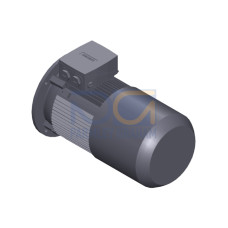 SIMOTICS GP Motor type: 1AV2132B Low-voltage motor, IEC Squirrel-cage rotor, self-ventilated, IP55 T