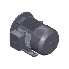 SIMOTICS GP Motor type: 1AV2132B Low-voltage motor, IEC Squirrel-cage rotor, self-ventilated, IP55 T