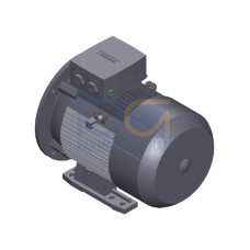 SIMOTICS GP Motor type: 1AV2132B Low-voltage motor, IEC Squirrel-cage rotor, self-ventilated, IP55 T