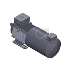 SIMOTICS GP Motor type: 1AV2136B Low-voltage motor, IEC Squirrel-cage rotor, self-ventilated, IP55 T