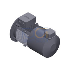 SIMOTICS GP Motor type: 1AV2132C Low-voltage motor, IEC Squirrel-cage rotor, self-ventilated, IP55 T