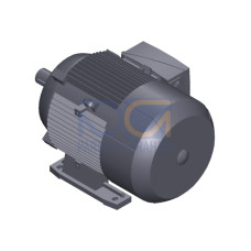 SIMOTICS GP Motor type: 1AV2132C Low-voltage motor, IEC Squirrel-cage rotor, self-ventilated, IP55 T