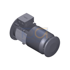 SIMOTICS GP Motor type: 1AV2133C Low-voltage motor, IEC Squirrel-cage rotor, self-ventilated, IP55 T