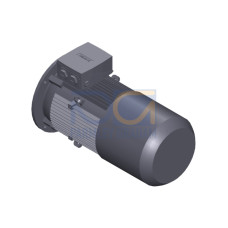 SIMOTICS GP Motor type: 1AV2136C Low-voltage motor, IEC Squirrel-cage rotor, self-ventilated, IP55 T