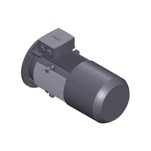 SIMOTICS GP Motor type: 1AV2136C Low-voltage motor, IEC Squirrel-cage rotor, self-ventilated, IP55 T