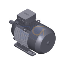 SIMOTICS GP Motor type: 1AV2162A Low-voltage motor, IEC Squirrel-cage rotor, self-ventilated, IP55 T