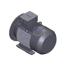 SIMOTICS GP Motor type: 1AV2163A Low-voltage motor, IEC Squirrel-cage rotor, self-ventilated, IP55 T