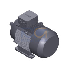 SIMOTICS GP Motor type: 1AV2163A Low-voltage motor, IEC Squirrel-cage rotor, self-ventilated, IP55 T
