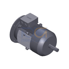 SIMOTICS GP Motor type: 1AV2162B Low-voltage motor, IEC Squirrel-cage rotor, self-ventilated, IP55 T