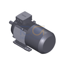 SIMOTICS GP Motor type: 1AV2164B Low-voltage motor, IEC Squirrel-cage rotor, self-ventilated, IP55 T