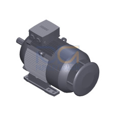 SIMOTICS GP Motor type: 1AV2164B Low-voltage motor, IEC Squirrel-cage rotor, self-ventilated, IP55 T