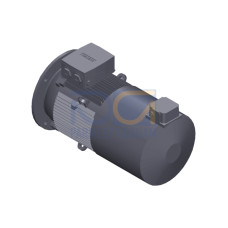 SIMOTICS GP Motor type: 1AV2164B Low-voltage motor, IEC Squirrel-cage rotor, self-ventilated, IP55 T