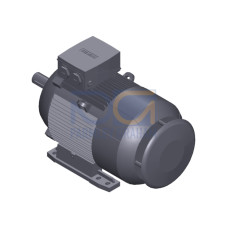 SIMOTICS GP Motor type: 1AV2164B Low-voltage motor, IEC Squirrel-cage rotor, self-ventilated, IP55 T