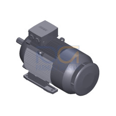 SIMOTICS GP Motor type: 1AV2166B Low-voltage motor, IEC Squirrel-cage rotor, self-ventilated, IP55 T