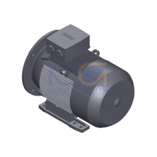 SIMOTICS GP Motor type: 1AV2162C Low-voltage motor, IEC Squirrel-cage rotor, self-ventilated, IP55 T