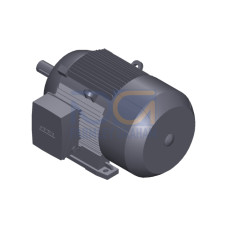 SIMOTICS GP Motor type: 1AV2162C Low-voltage motor, IEC Squirrel-cage rotor, self-ventilated, IP55 T