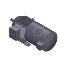 SIMOTICS GP Motor type: 1AV2164C Low-voltage motor, IEC Squirrel-cage rotor, self-ventilated, IP55 T