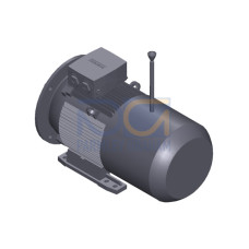 SIMOTICS GP Motor type: 1AV2164C Low-voltage motor, IEC Squirrel-cage rotor, self-ventilated, IP55 T