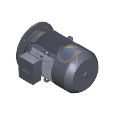SIMOTICS GP Motor type: 1AV2164C Low-voltage motor, IEC Squirrel-cage rotor, self-ventilated, IP55 T