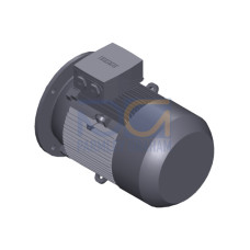 SIMOTICS GP Motor type: 1AV2163D Low-voltage motor, IEC Squirrel-cage rotor, self-ventilated, IP55 T