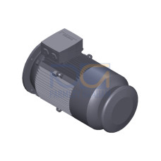 SIMOTICS GP Motor type: 1AV2205D Low-voltage motor, IEC Squirrel-cage rotor, self-ventilated, IP55 T